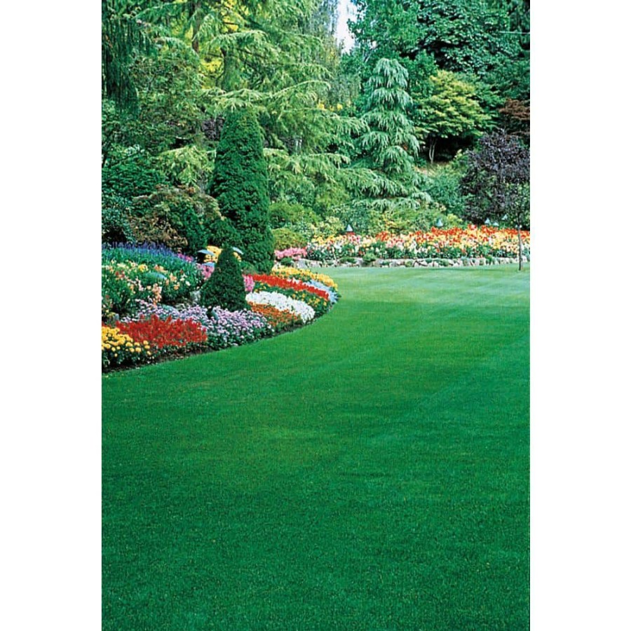 Garden Center * | Gardens Alive! 6 Lbs. Healthy Lawn Grass Seed, Tall Fescue Variety