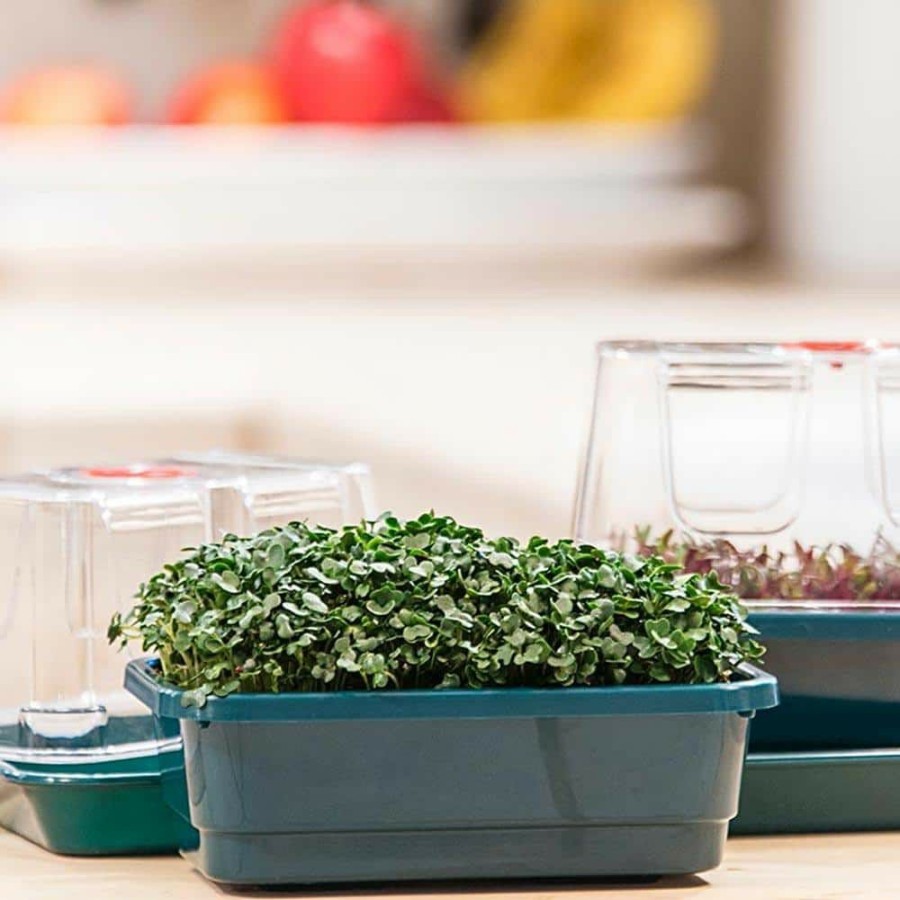 Garden Center * | Gardens Alive! Microgreens Growing Kit