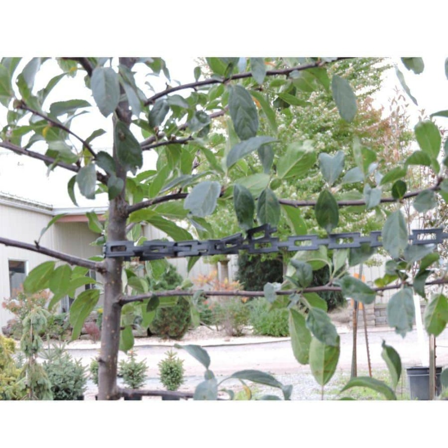 Garden Center * | Master Mark Chainlock 1/2 In. X 100 Ft. Tree Support