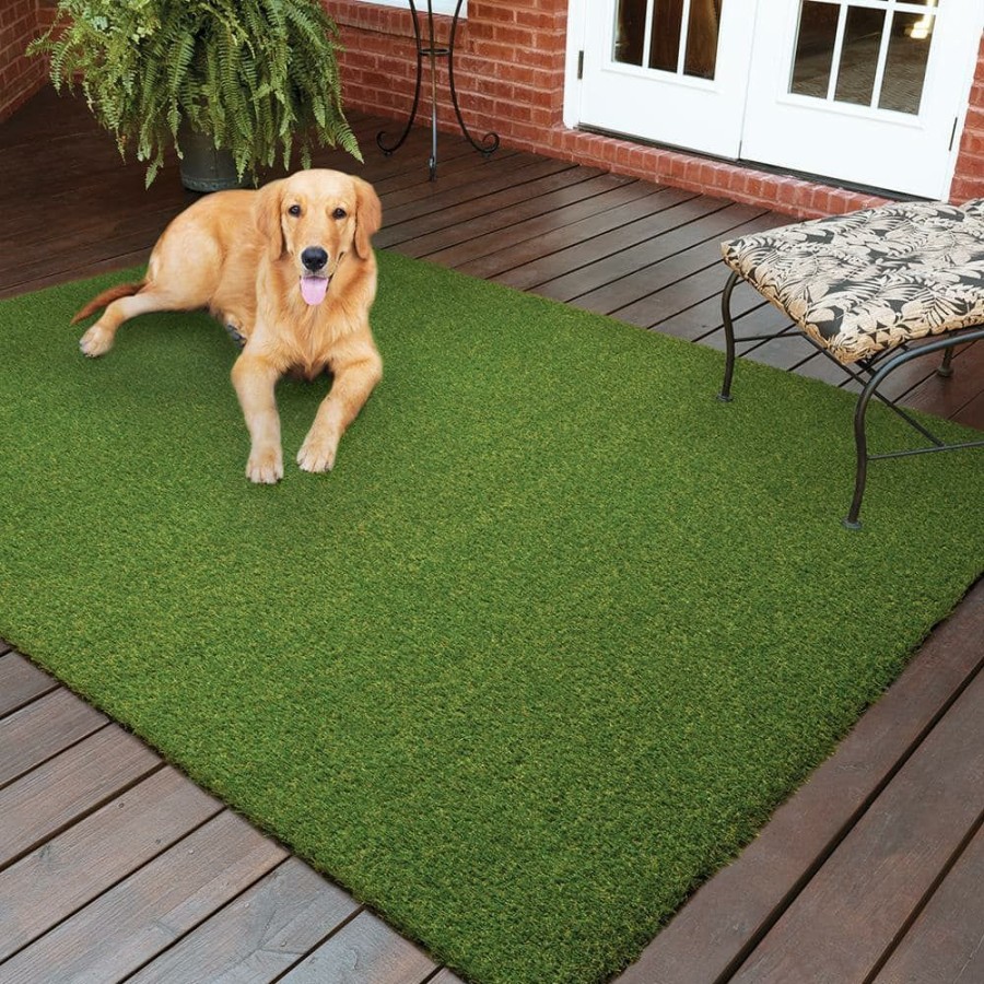 Garden Center * | Trafficmaster Pet 7.5 Ft. X 13 Ft. Green Artificial Grass Rug