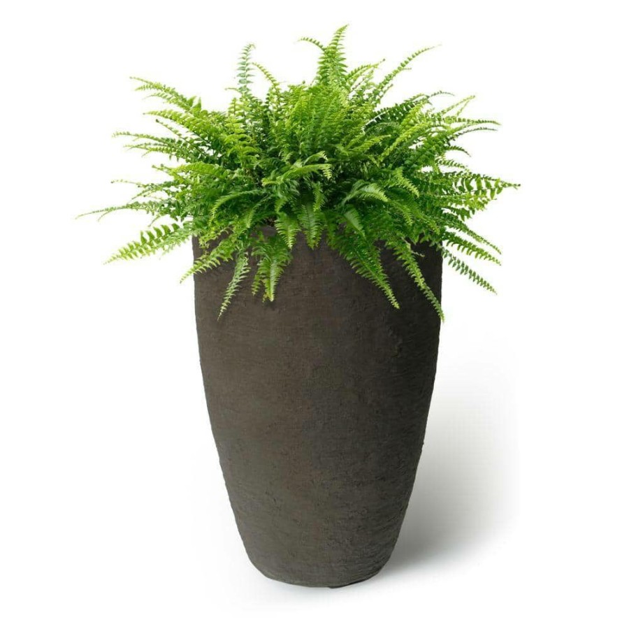 Garden Center * | Algreen Athena 28.5 In. X 17.5 In. Brown Self-Watering Plastic Planter