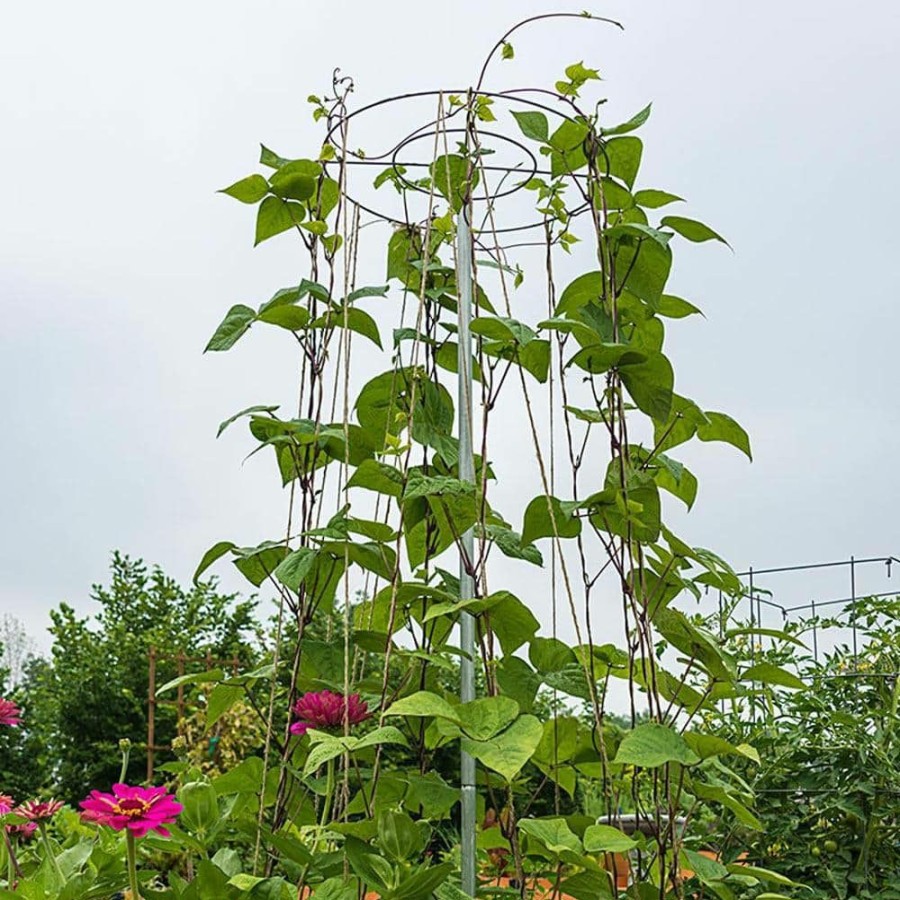 Garden Center * | Gardens Alive! 6 Ft. T Bean Growing Tower