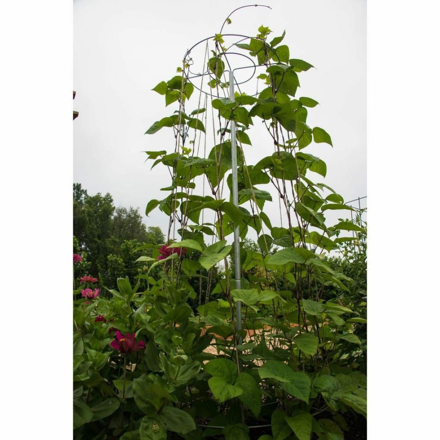 Garden Center * | Gardens Alive! 6 Ft. T Bean Growing Tower