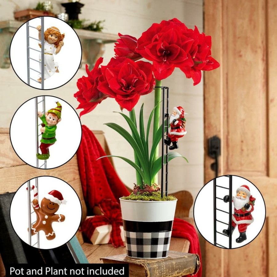 Garden Center * | Gardens Alive! Angel And Ladder Amaryllis Stake, A Decortive Way To Support Your Amaryllis (1-Pack)