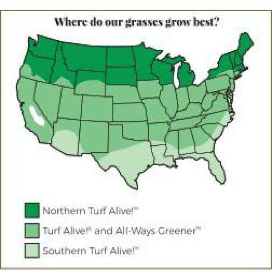 Garden Center * | Gardens Alive! 4 Lbs. Northern Turf Alive! Grass Seed Mixture