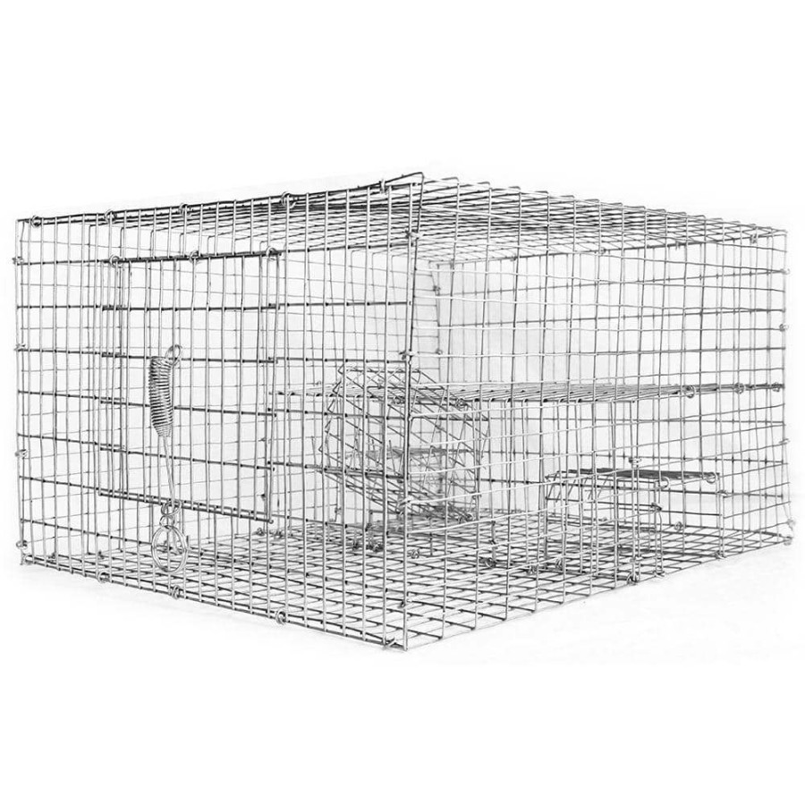 Garden Center * | Bird B Gone Sparrow Trap With Two Chambers (8 In. X 12 In. X 16 In.)